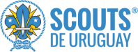 logo horizontal png SDU